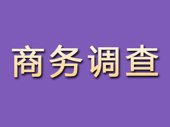 津市商务调查